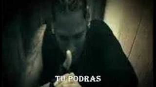 Temperamento Consejo