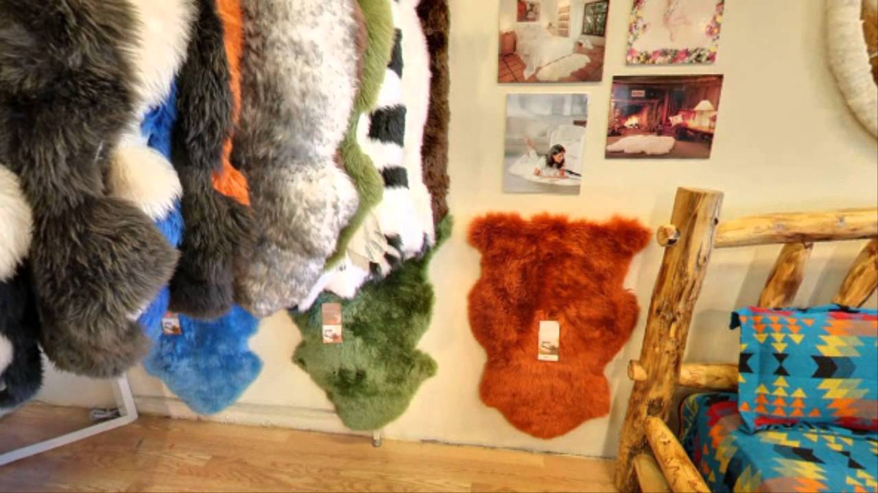 Worlds Largest Alpaca Store Alpaca Imports YouTube