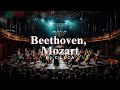 The best classical music  relaxed study work beethoven mozart