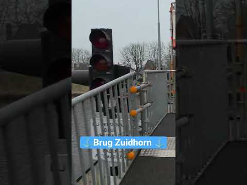 De afgunst in Nederland is bizar!