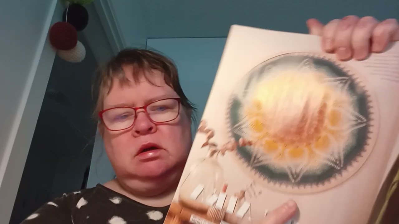 Kirsijn kirjavat 28022026