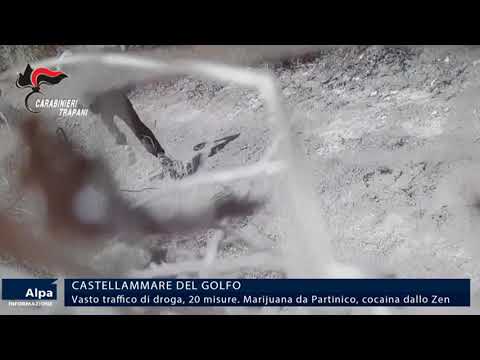 Castellammare, arresti per vasto traffico di droga. Marijuana da Partinico, cocaina dallo Zen