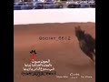 يازينها 