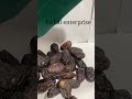 Video Image