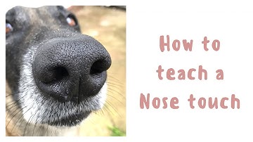 how to teach a sustained hand touch