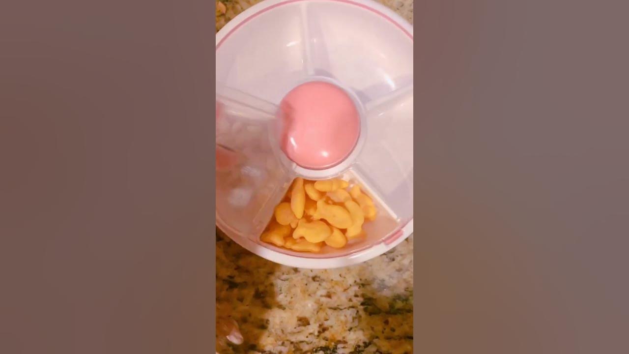 The best travel snack containers for kids - Coco's Caravan