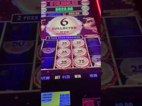 Slot machine coin hopper explained.