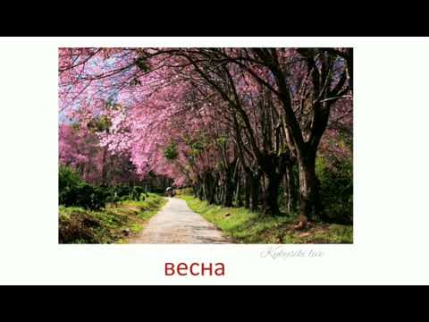 Карточки домана времена года / погода