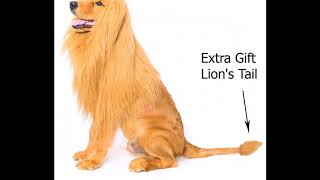 Lion Mane for Dog