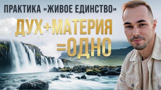 картинка: Практика Живое Единство #пробуждение #просветление #практика
