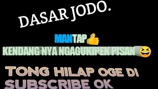 ( dasar jodo ) || ngagblaktuk pisan  live show April Rampak PHB ( Majalaya )