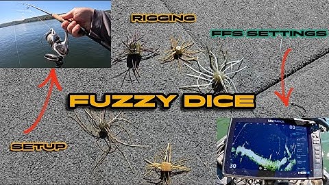 Fuzzy Dice baits For BASS FISHING (Setup, FFS Settings, Rigging, Techniques)