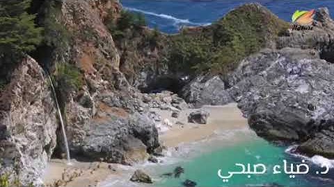 ما تيسر من سورة النور .. مقام النهاوند..د. ضياء صبحي