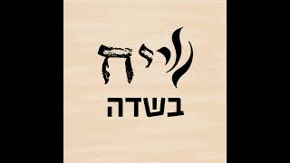 שערים לרב שג"ר (4): מלכות שלעתיד לבוא