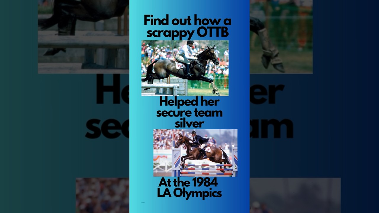 Ask the Legends: Lucinda Green's Thoughts on OTTBs and Thoroughbreds in Eventing