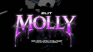 2LIT - Molly