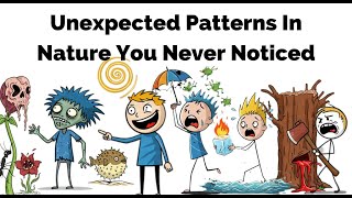 Unexpected Patterns In Nature You Never Noticed – And What They Really Mean