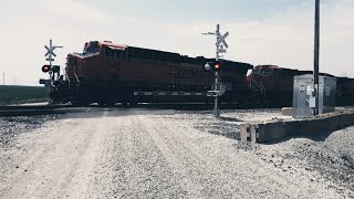 😎🔥😎 4-Unit BNSF Z-Train! Nice! 🎯