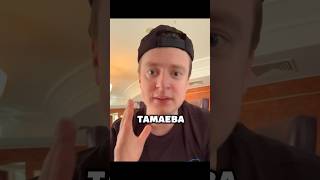 😨Тамаев против Мелстроя! Бой с Венгалби? #тамаев #mellstroy #wengallbi