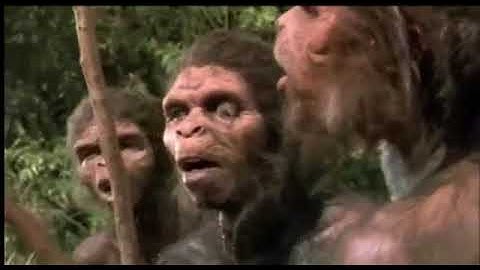 HOW FIRE INVENTED BY HUMAN