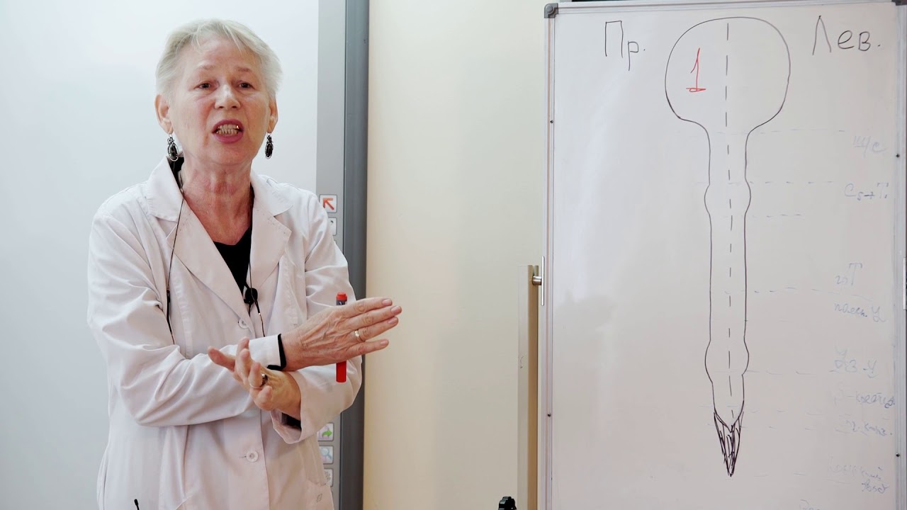 неврология патологии. справочник нервных болезней. неврология курс. лекции по неврологии для врачей. головная боль неврология студфайл.