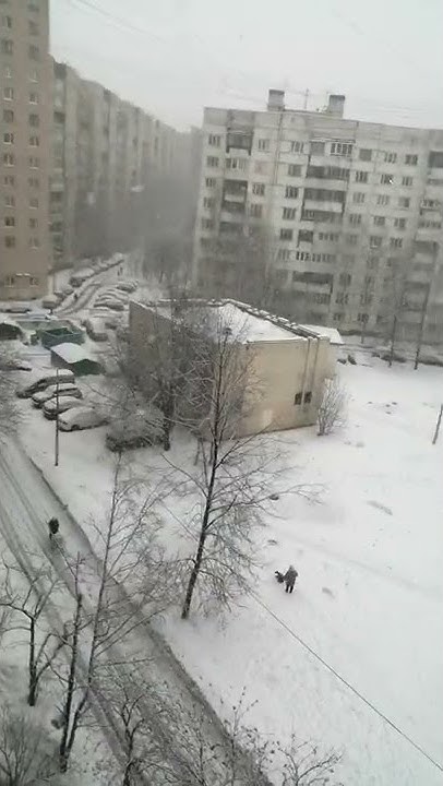21.01.2022 прогноз Санкт-Петербург - YouTube
