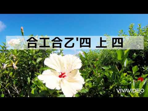 島々清しゃ（しまじまかいしゃ ）三線ADA用伴奏　一緒に弾こう(唄三線、カラオケ用）Shimajima Kaisha かいしゃぬ