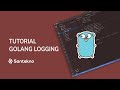 Tutorial Go - 08 Logger Custom Singleton Logrus pada Golang