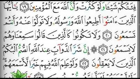 مصحف التجويد صفحة 179 ابراهيم الأخضر 🕋