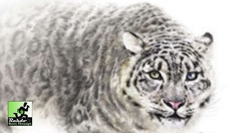 (static cam) The Sanctuary Gameplay Runthrough