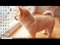 End of video