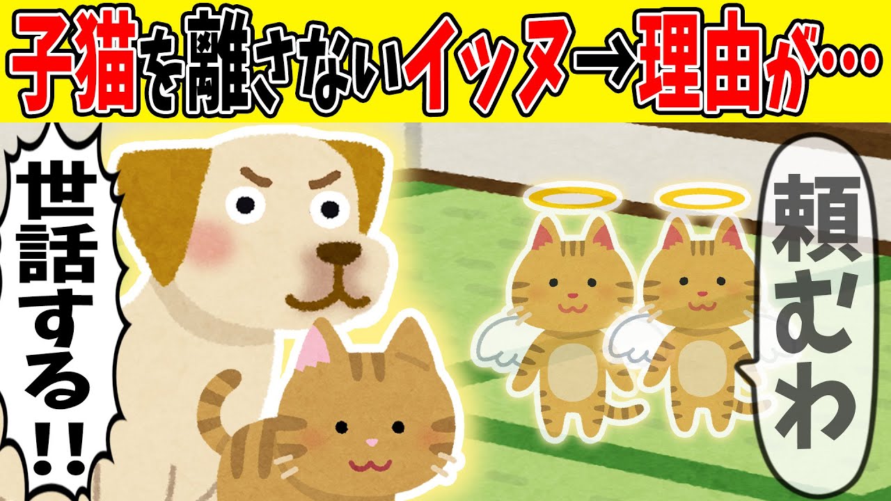 【涙腺崩壊】保護した子猫を離そうとしない犬…その理由に涙が止まらない【ゆっくり】