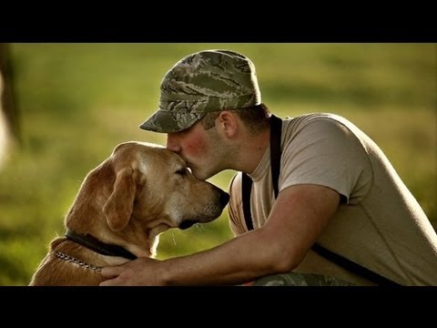 فيديو: K9s للمحاربين يساعد على إنقاذ قدامى المحاربين والكلاب المأوى