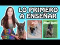 Las PRIMERAS ÓRDENES que DEBES ENSEÑAR a un PERRO o CACHORRO | Adiestramiento Canino en Obediencia