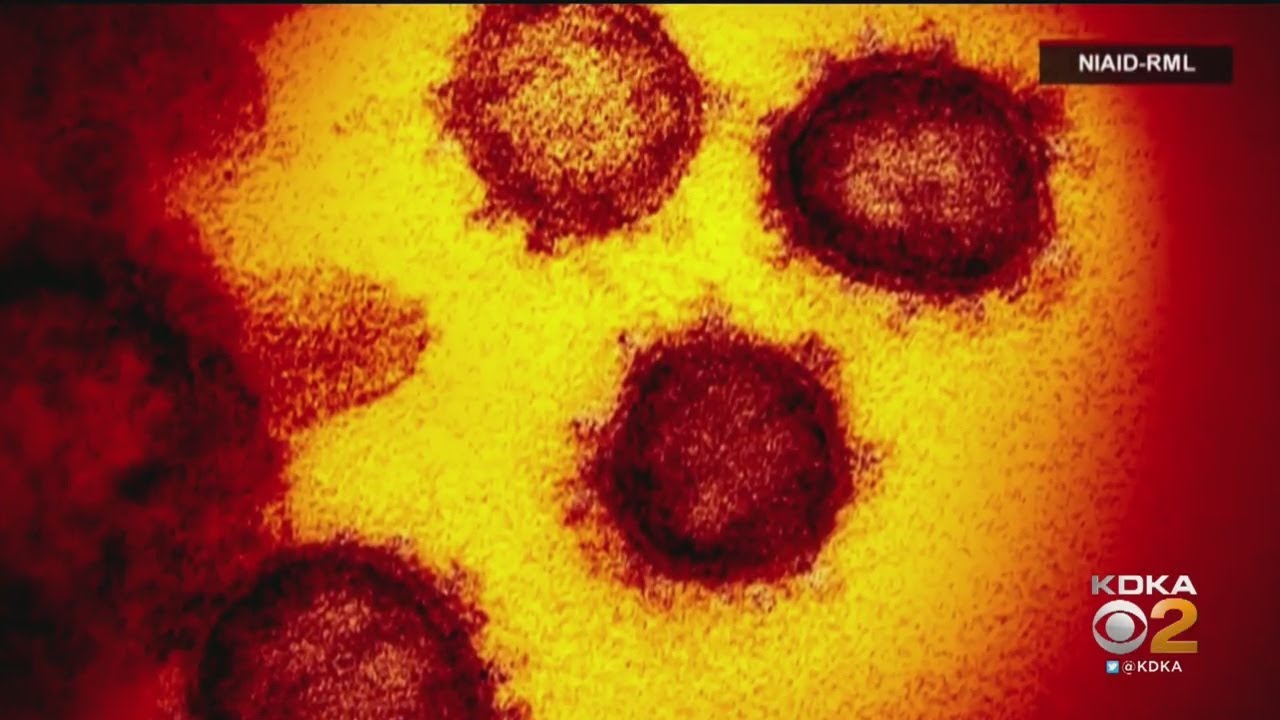 West Virginia Reports First Confirmed Coronavirus Case