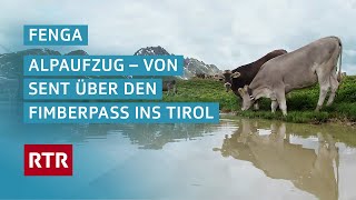 Fenga I Alpaufzug - von Sent über den Fimberpass ins Tirol I Dok I Cuntrasts I RTR Films