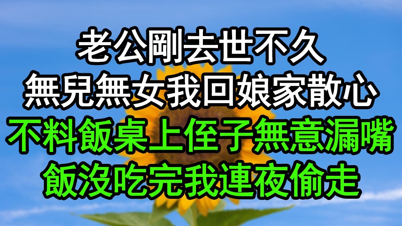 老公剛去世不久，無兒無女我回娘家散心，不料飯桌上侄子無意漏嘴，飯沒吃完我連夜偷走#深夜淺讀 #為人處世 #生活經驗 #情感故事