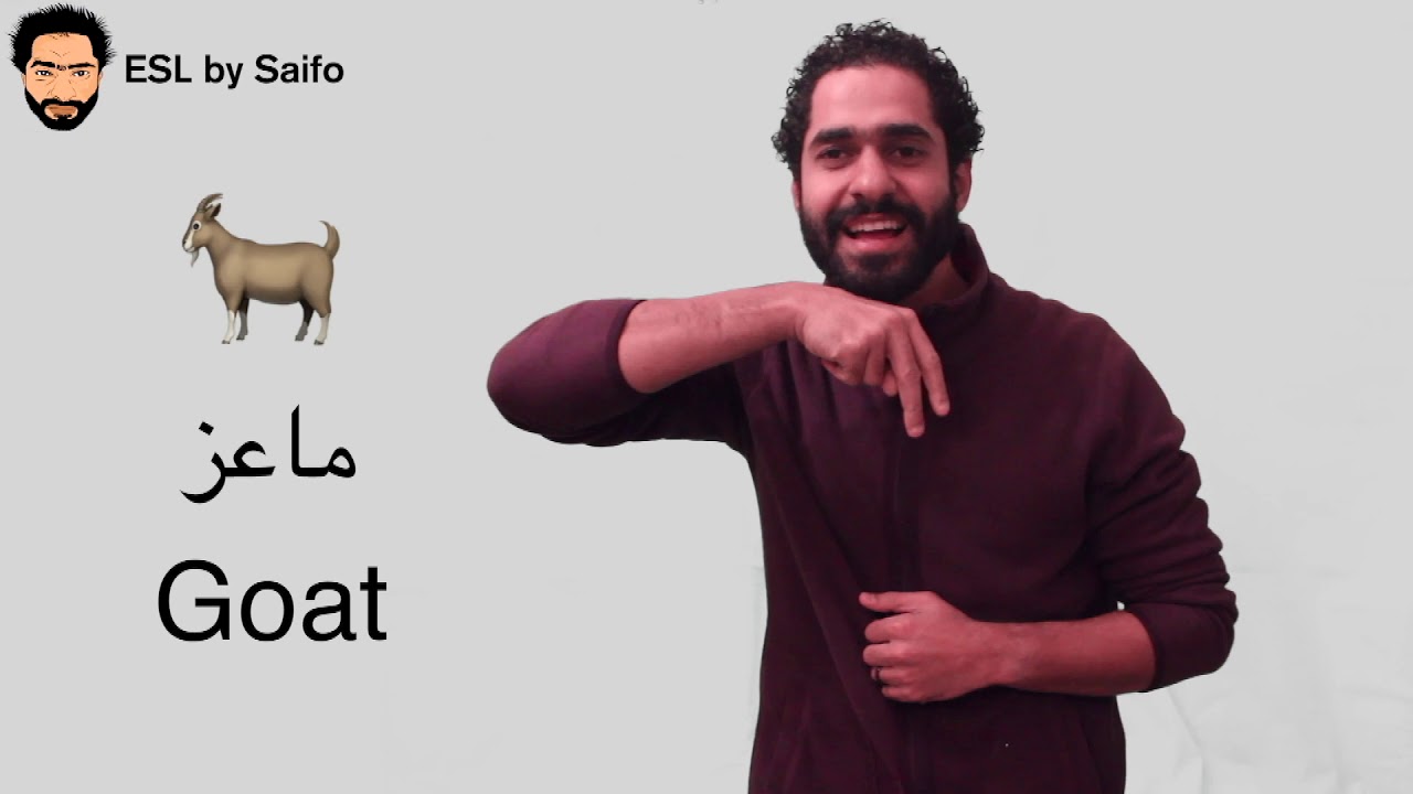 الحيوانات بالغة الاشارة