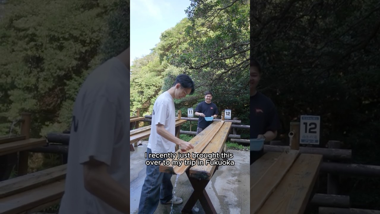 The BEST Iphone Travel Tripod!