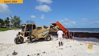 Sargassum Seaweed harvester put to work at Sandals Beach to help clear the brown seaweed