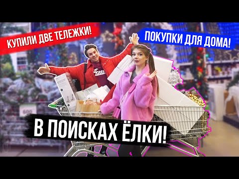 Video: Sveta Bilyalovas nettoverdi: Wiki, gift, familie, bryllup, lønn, søsken