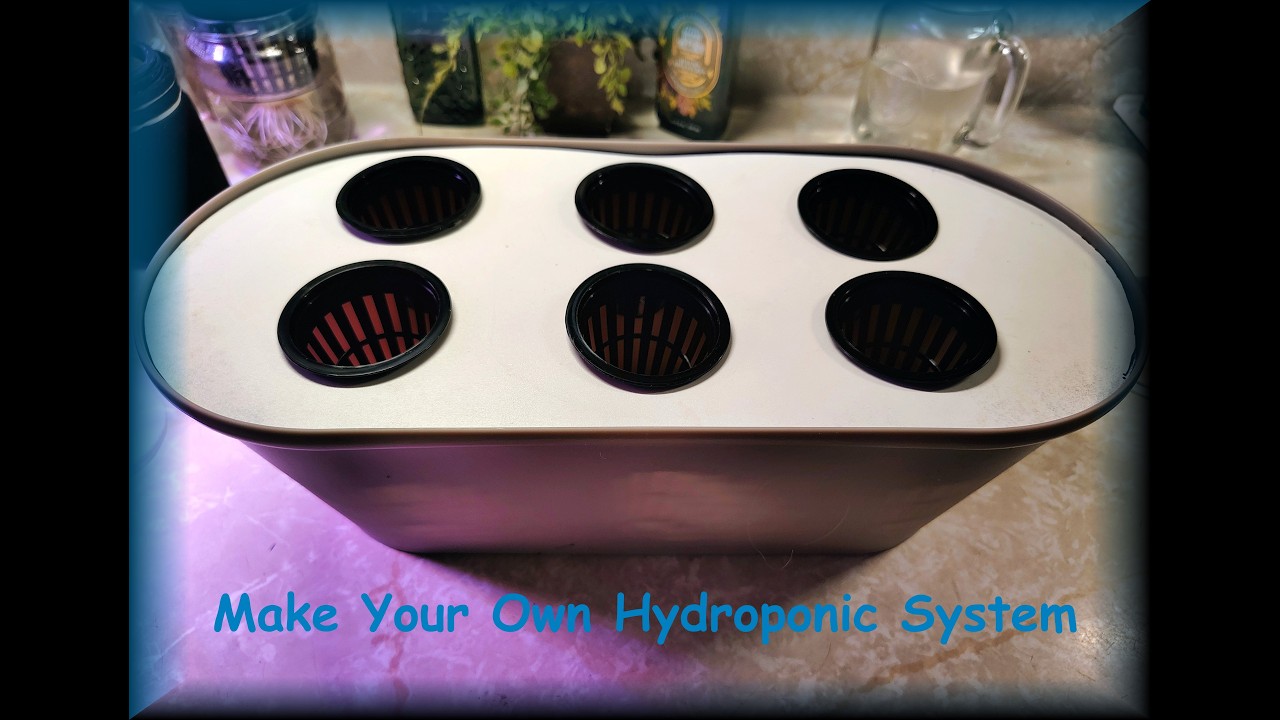 Build your Own Hydroponic Unit for about $3.00!!!