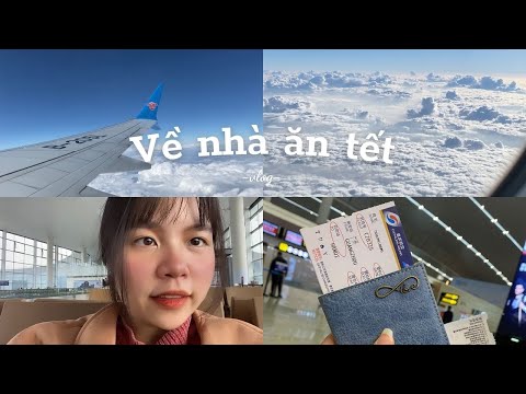 Về nhà ăn Tết| Bất ngờ về nhà và cái kết 🇨🇳✈️🇻🇳|Du học Trung Quốc