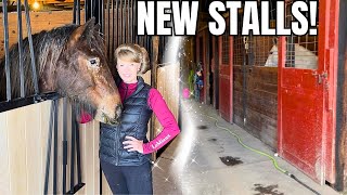 Our Complete Horse Stall Renovation! The Final Result Will Blow Your Mind