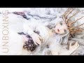 BJD Fairyland Minifee Hwayu [Vampire Princess] Unboxing / Box Opening