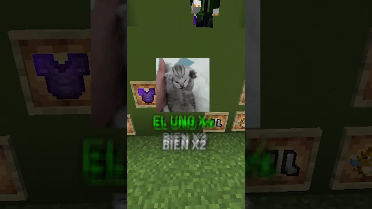 ELECCIONES A CIEGAS CON LAOS #minecraft #shorts