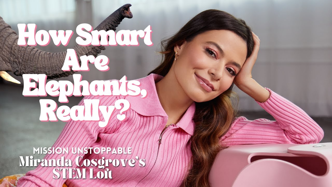 Elephants Are Smarter Than You Think! Miranda Cosgrove's STEM Loft YouTube