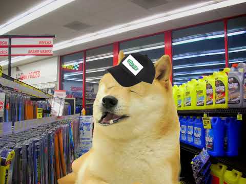 Doge Works At O'Reillys