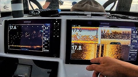 AMAZING LIVE SONAR!! Netting Bait with Simrad Active Target WOW! Forward facing sonar