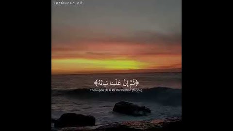 تلاوة خاشعة للشيخ ماهر المعيقلي #اكسبلور #لايك #قران_كريم #ترند